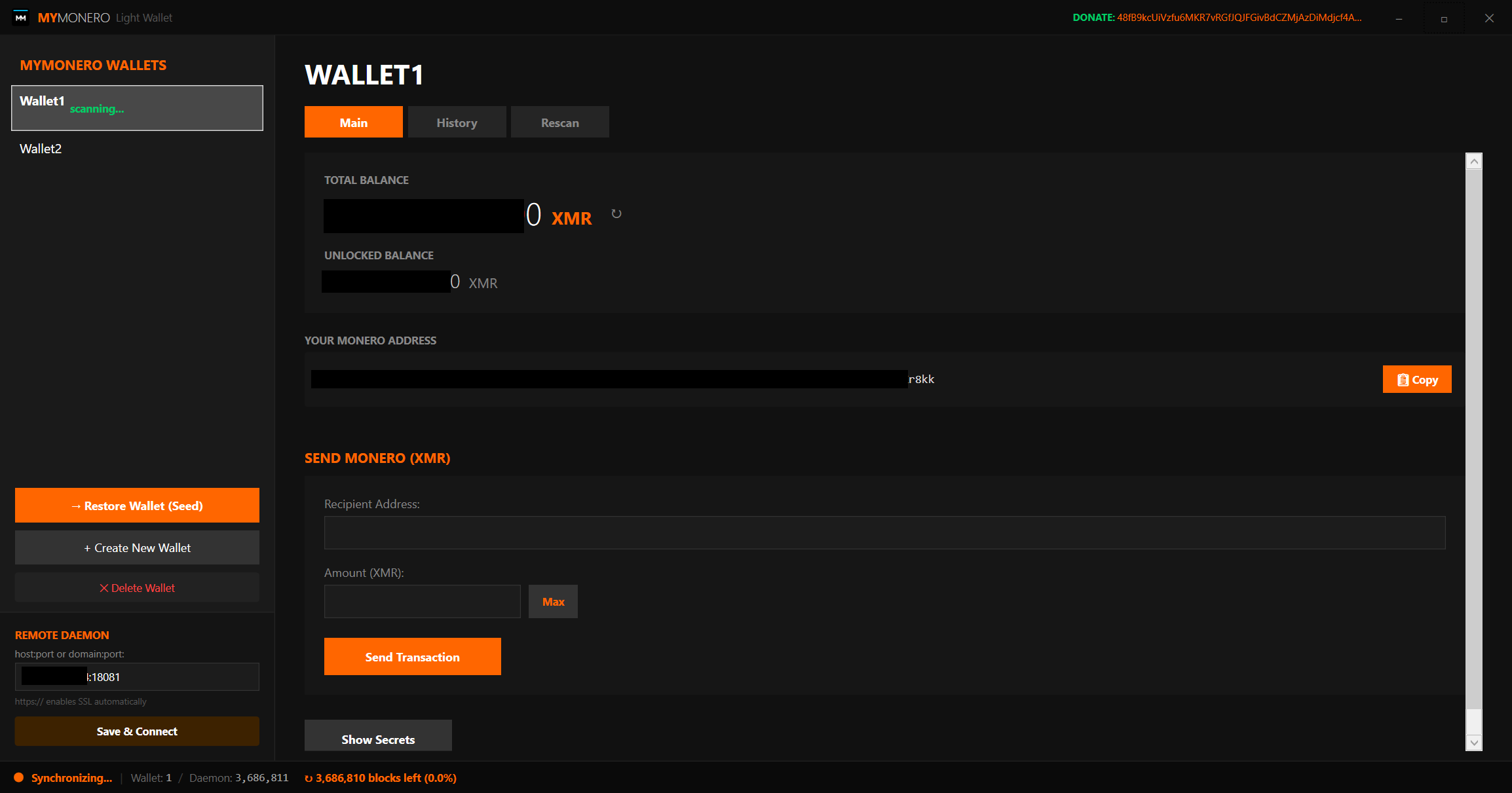 Main wallet view
